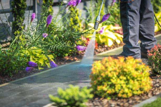 Professional Pressure Washing Services in Excelsior Springs, MO