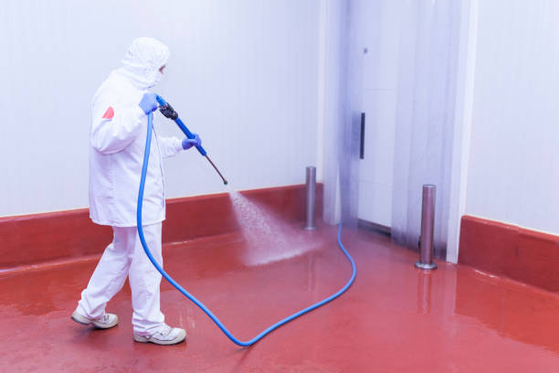 Best Patio and Deck Pressure Washing  in Excelsior Springs, MO